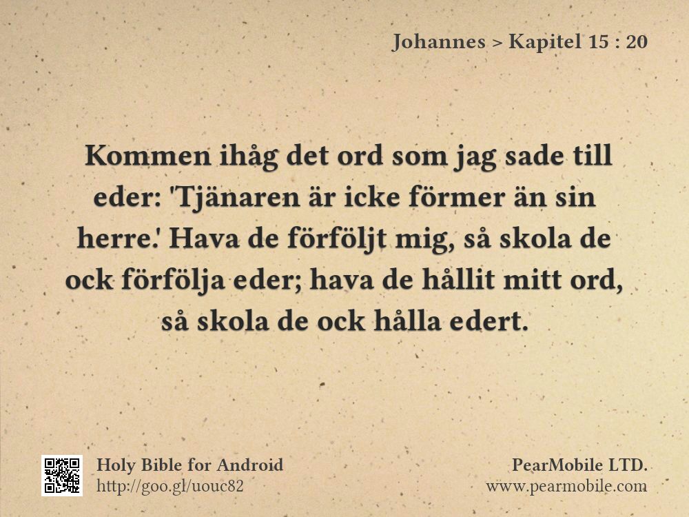 Johannes, Kapitel 15:20